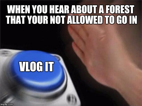 Blank Nut Button Meme | WHEN YOU HEAR ABOUT A FOREST THAT YOUR NOT ALLOWED TO GO IN; VLOG IT | image tagged in memes,blank nut button | made w/ Imgflip meme maker