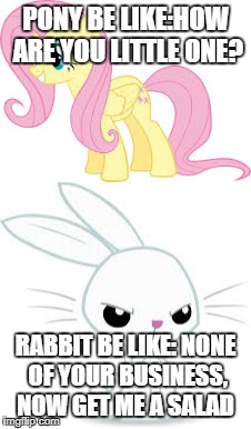 pets need love... and food. | PONY BE LIKE:HOW ARE YOU LITTLE ONE? RABBIT BE LIKE: NONE OF YOUR BUSINESS, NOW GET ME A SALAD | image tagged in mlp meme | made w/ Imgflip meme maker