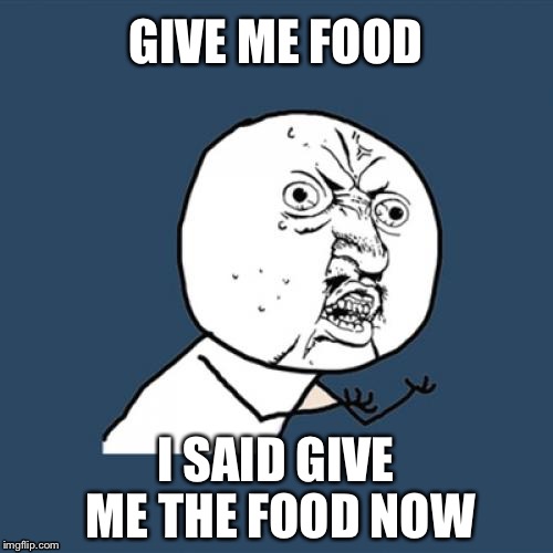 Y U No Meme | GIVE ME FOOD; I SAID GIVE ME THE FOOD NOW | image tagged in memes,y u no,ugandan knuckles | made w/ Imgflip meme maker
