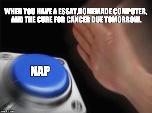 Blank Nut Button | WHEN YOU HAVE A ESSAY,HOMEMADE COMPUTER, AND THE CURE FOR CANCER DUE TOMORROW. NAP | image tagged in memes,blank nut button | made w/ Imgflip meme maker