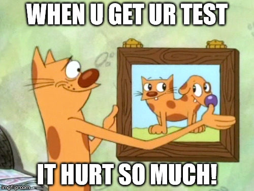 (NoTitle) | WHEN U GET UR TEST; IT HURT SO MUCH! | image tagged in catdog | made w/ Imgflip meme maker