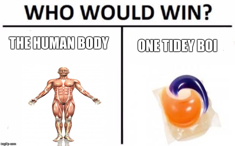 Trash Meme | THE HUMAN BODY; ONE TIDEY BOI | image tagged in funny,who would win,tide pods | made w/ Imgflip meme maker