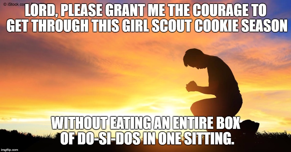 A Cookie Prayer | LORD, PLEASE GRANT ME THE COURAGE TO GET THROUGH THIS GIRL SCOUT COOKIE SEASON; WITHOUT EATING AN ENTIRE BOX OF DO-SI-DOS IN ONE SITTING. | image tagged in cookies,girl scout cookies,dear god,help me | made w/ Imgflip meme maker