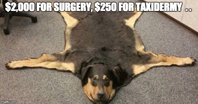 $2,000 FOR SURGERY, $250 FOR TAXIDERMY  . . | image tagged in memes | made w/ Imgflip meme maker