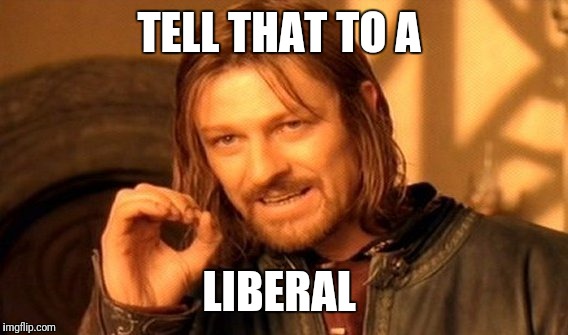 One Does Not Simply Meme | TELL THAT TO A; LIBERAL | image tagged in memes,one does not simply | made w/ Imgflip meme maker