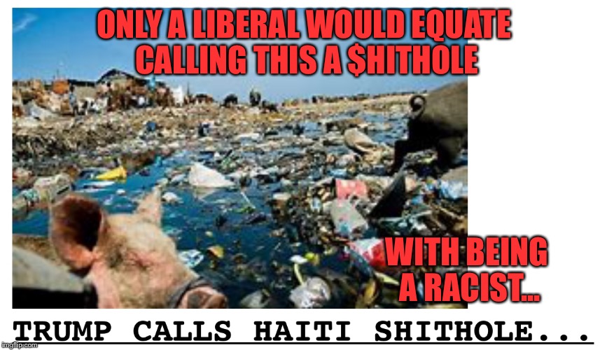ONLY A LIBERAL WOULD EQUATE CALLING THIS A $HITHOLE; WITH BEING A RACIST... | image tagged in liberal logic | made w/ Imgflip meme maker
