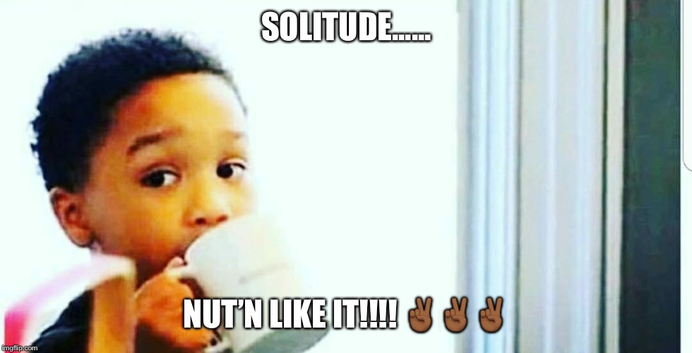 SOLITUDE...... NUT’N LIKE IT!!!! ✌🏾✌🏾✌🏾 | image tagged in ti | made w/ Imgflip meme maker