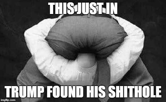 This just in. Trump found his shithole | THIS JUST IN; TRUMP FOUND HIS SHITHOLE | image tagged in head up ass,trump,donald trump,asshole,shithole,potus | made w/ Imgflip meme maker