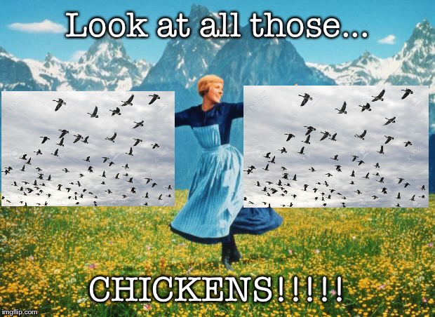 Look At All These (high-res) | Look at all those... CHICKENS!!!!! | image tagged in look at all these high-res | made w/ Imgflip meme maker