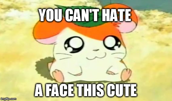cant say no to this | YOU CAN'T HATE; A FACE THIS CUTE | image tagged in cuteness | made w/ Imgflip meme maker