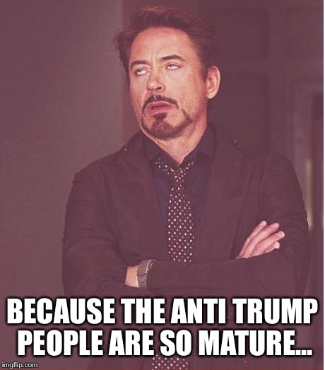 Face You Make Robert Downey Jr Meme | BECAUSE THE ANTI TRUMP PEOPLE ARE SO MATURE... | image tagged in memes,face you make robert downey jr | made w/ Imgflip meme maker