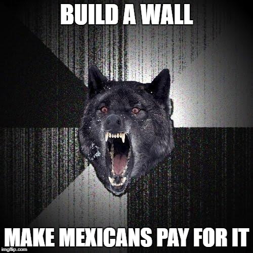 Insanity Wolf Meme | BUILD A WALL; MAKE MEXICANS PAY FOR IT | image tagged in memes,insanity wolf | made w/ Imgflip meme maker