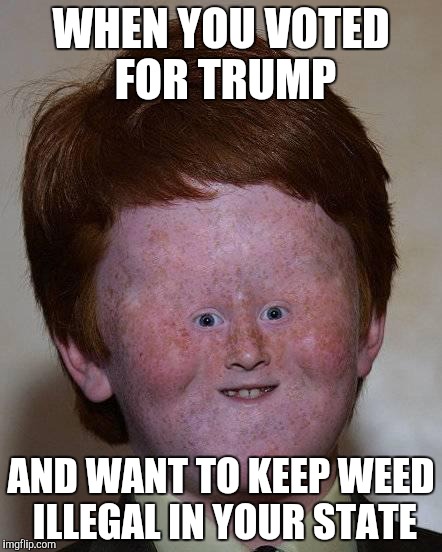 Red state genius | WHEN YOU VOTED FOR TRUMP; AND WANT TO KEEP WEED ILLEGAL IN YOUR STATE | image tagged in dumb ginger | made w/ Imgflip meme maker