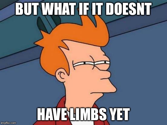 Futurama Fry Meme | BUT WHAT IF IT DOESNT HAVE LIMBS YET | image tagged in memes,futurama fry | made w/ Imgflip meme maker