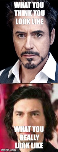 WHAT YOU THINK YOU LOOK LIKE; WHAT YOU REALLY LOOK LIKE | image tagged in rdj | made w/ Imgflip meme maker