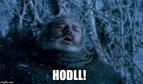 Hodl | HODLL! | image tagged in hodl,crypto,coin | made w/ Imgflip meme maker