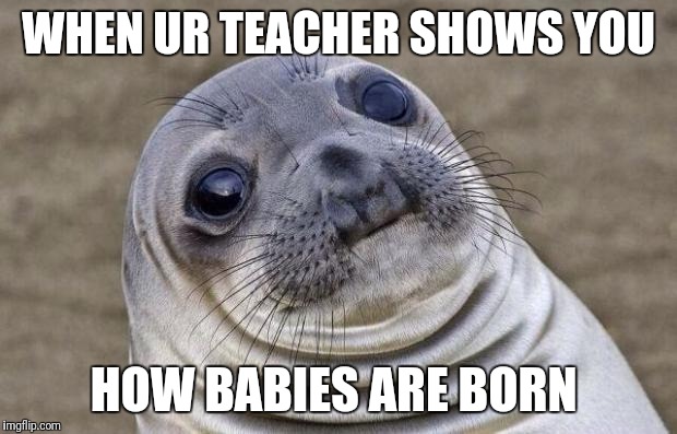 Awkward Moment Sealion | WHEN UR TEACHER SHOWS YOU; HOW BABIES ARE BORN | image tagged in memes,awkward moment sealion | made w/ Imgflip meme maker