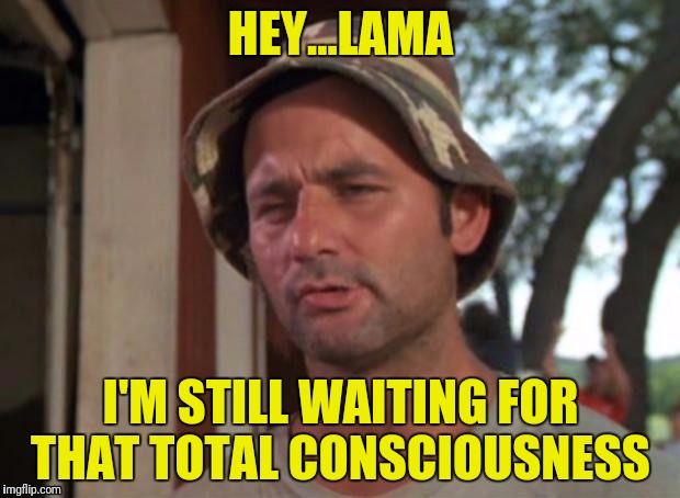 HEY...LAMA I'M STILL WAITING FOR THAT TOTAL CONSCIOUSNESS | made w/ Imgflip meme maker