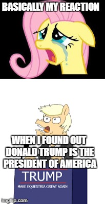 politics... | BASICALLY MY REACTION; WHEN I FOUND OUT DONALD TRUMP IS THE PRESIDENT OF AMERICA | image tagged in mlp meme,politics | made w/ Imgflip meme maker