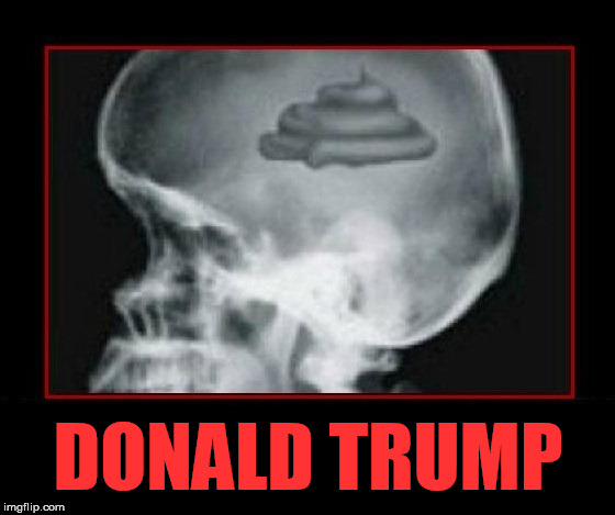 Shit for Brains | DONALD TRUMP | image tagged in trump,shit for brains | made w/ Imgflip meme maker