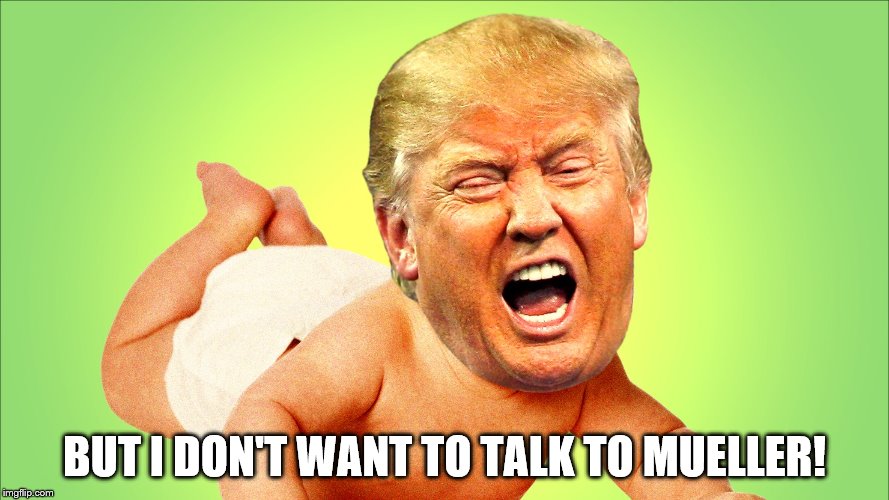 I Don't Want to Talk to Mueller | BUT I DON'T WANT TO TALK TO MUELLER! | image tagged in trump,crybaby,mueller | made w/ Imgflip meme maker