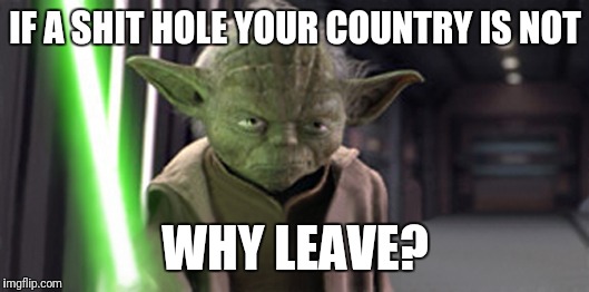 Angry Yoda |  IF A SHIT HOLE YOUR COUNTRY IS NOT; WHY LEAVE? | image tagged in angry yoda,shit hole,donald trump | made w/ Imgflip meme maker