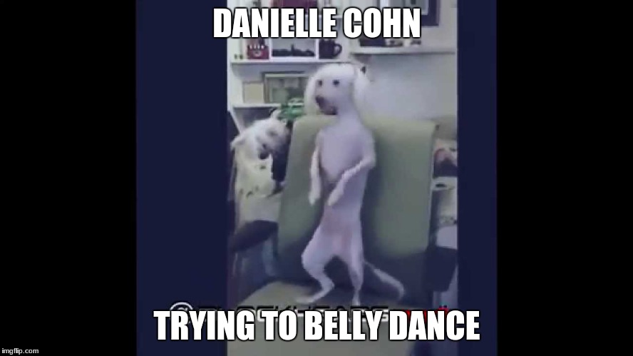 DANIELLE COHN; TRYING TO BELLY DANCE | made w/ Imgflip meme maker