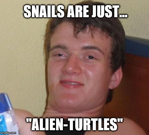 whoah there | SNAILS ARE JUST... "ALIEN-TURTLES" | image tagged in memes,10 guy,alien,snail,turtle | made w/ Imgflip meme maker