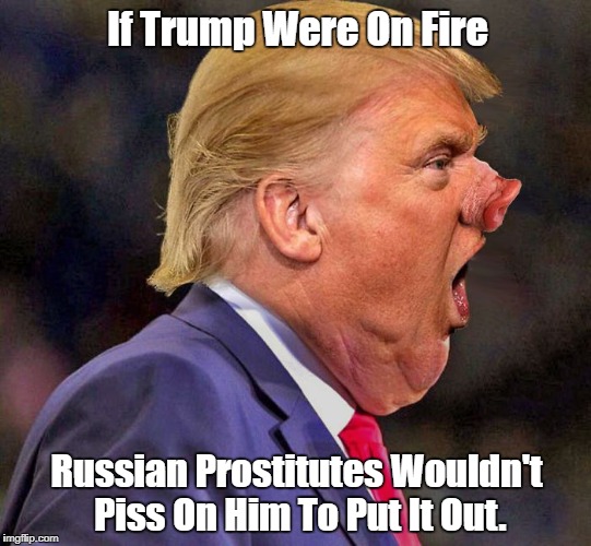 If Trump Were On Fire Russian Prostitutes Wouldn't Piss On Him To Put It Out. | made w/ Imgflip meme maker