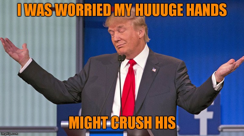 I WAS WORRIED MY HUUUGE HANDS MIGHT CRUSH HIS | made w/ Imgflip meme maker