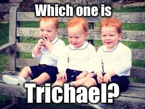 Which one is Trichael? | made w/ Imgflip meme maker