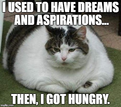 Fat, lazy and sad cat. | I USED TO HAVE DREAMS AND ASPIRATIONS... THEN, I GOT HUNGRY. | image tagged in fat,lazy,sad,cat | made w/ Imgflip meme maker