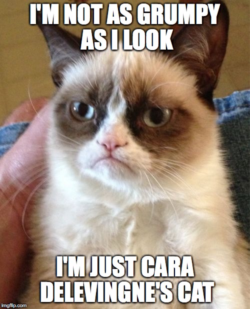 Grumpy Cat Meme | I'M NOT AS GRUMPY AS I LOOK; I'M JUST CARA DELEVINGNE'S CAT | image tagged in memes,grumpy cat | made w/ Imgflip meme maker