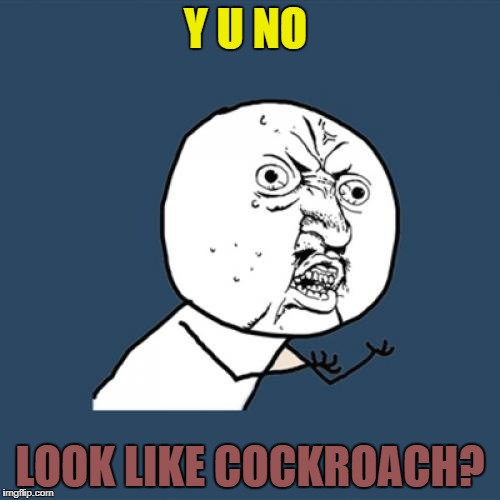 Y U No Meme | Y U NO LOOK LIKE COCKROACH? | image tagged in memes,y u no | made w/ Imgflip meme maker