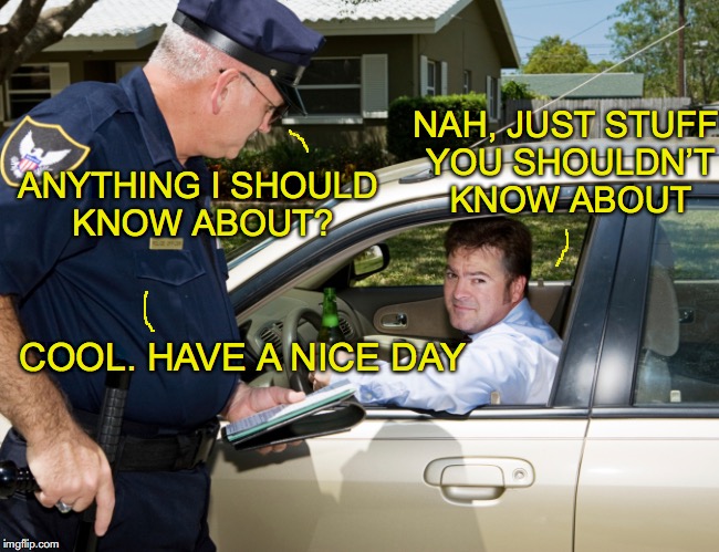 "What you don’t know...." | NAH, JUST STUFF YOU SHOULDN’T KNOW ABOUT; ANYTHING I SHOULD KNOW ABOUT? COOL. HAVE A NICE DAY | image tagged in police,driver,traffic | made w/ Imgflip meme maker