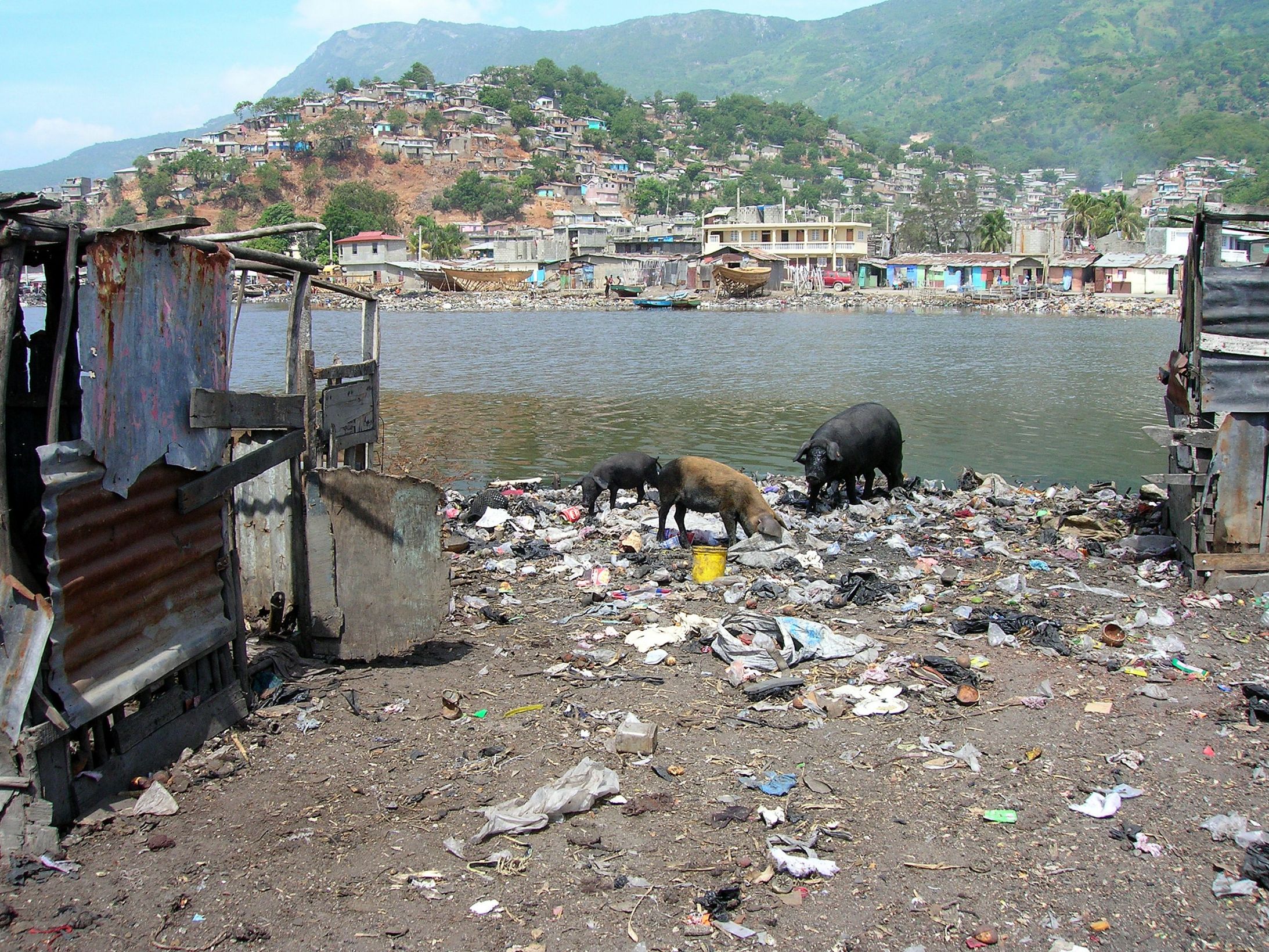 Haitian Shithole Blank Meme Template