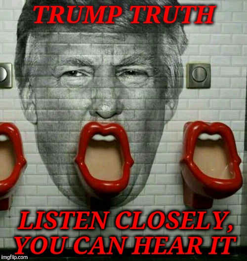 Donald Trump Urinal | TRUMP TRUTH LISTEN CLOSELY, YOU CAN HEAR IT | image tagged in donald trump urinal | made w/ Imgflip meme maker