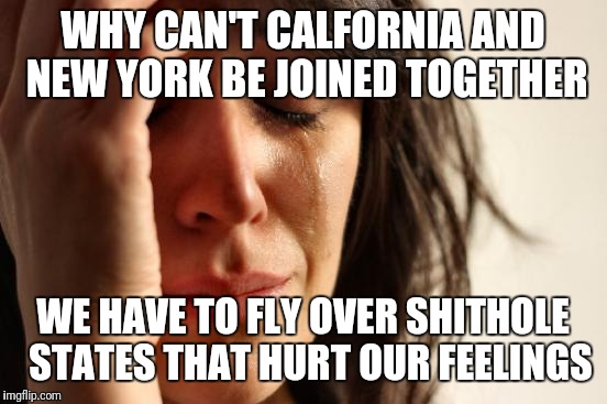 First World Problems Meme | WHY CAN'T CALFORNIA AND NEW YORK BE JOINED TOGETHER WE HAVE TO FLY OVER SHITHOLE  STATES THAT HURT OUR FEELINGS | image tagged in memes,first world problems | made w/ Imgflip meme maker