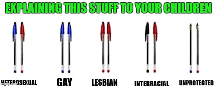 explaining this stuff to your children | EXPLAINING THIS STUFF TO YOUR CHILDREN; HETEROSEXUAL; INTERRACIAL; UNPROTECTED; GAY; LESBIAN | image tagged in birds,bees | made w/ Imgflip meme maker