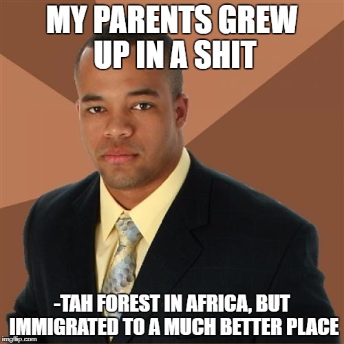 MY PARENTS GREW UP IN A SHIT; -TAH FOREST IN AFRICA, BUT IMMIGRATED TO A MUCH BETTER PLACE | image tagged in successful black man | made w/ Imgflip meme maker
