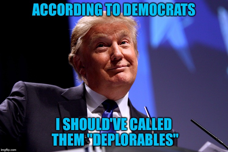 Donald Trump No2 | ACCORDING TO DEMOCRATS; I SHOULD'VE CALLED THEM "DEPLORABLES" | image tagged in donald trump no2,wtf | made w/ Imgflip meme maker