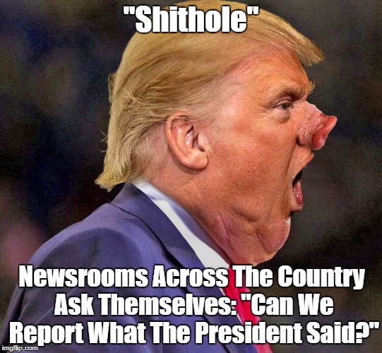 "The Pig's Sty" | "Shithole"; Newsrooms Across The Country Ask Themselves: "Can We Report What The President Said?" | image tagged in deplorable donald,despicable donald,devious donald,deceitful donald,dishonorable donald,mafia don | made w/ Imgflip meme maker
