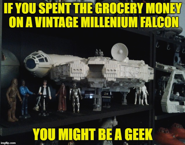 Starwars Collectors Understand-, Geek Week Jan 7-13, a JBmemegeek & KenJ event | IF YOU SPENT THE GROCERY MONEY ON A VINTAGE MILLENIUM FALCON; YOU MIGHT BE A GEEK | image tagged in meme,starwars,toy collector,geek week | made w/ Imgflip meme maker