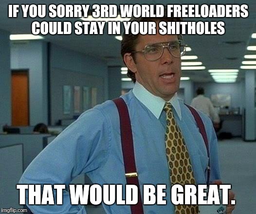 Stay.  | IF YOU SORRY 3RD WORLD FREELOADERS COULD STAY IN YOUR SHITHOLES; THAT WOULD BE GREAT. | image tagged in memes,that would be great,shithole | made w/ Imgflip meme maker