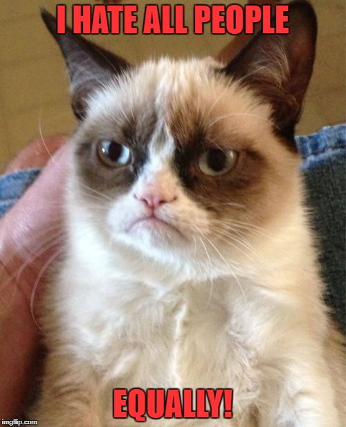 Grumpy Cat Meme | I HATE ALL PEOPLE EQUALLY! | image tagged in memes,grumpy cat | made w/ Imgflip meme maker