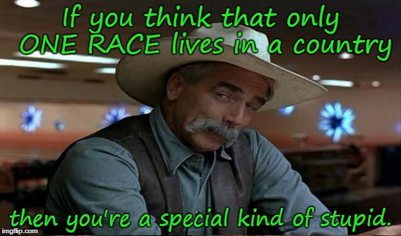 Calling a country a name isn't the same as calling a race a name. | If you think that only ONE RACE lives in a country; then you're a special kind of stupid. | image tagged in no racism,racism,stupid,special,snowflakes,sjw | made w/ Imgflip meme maker