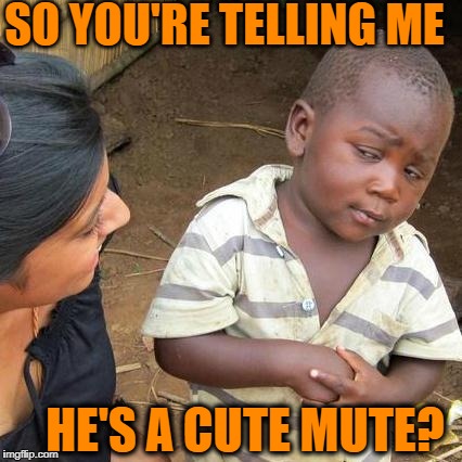 Third World Skeptical Kid Meme | SO YOU'RE TELLING ME HE'S A CUTE MUTE? | image tagged in memes,third world skeptical kid | made w/ Imgflip meme maker