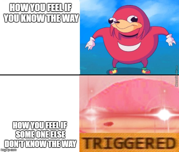do you know the way | HOW YOU FEEL IF YOU KNOW THE WAY; HOW YOU FEEL IF SOME ONE ELSE DON'T KNOW THE WAY | image tagged in do you know the way | made w/ Imgflip meme maker