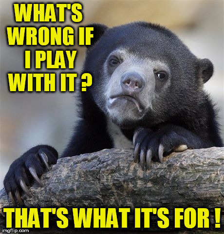Confession Bear Meme | WHAT'S WRONG IF I PLAY WITH IT ? THAT'S WHAT IT'S FOR ! | image tagged in memes,confession bear | made w/ Imgflip meme maker