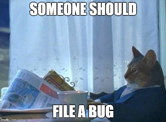 Cat newspaper | SOMEONE SHOULD; FILE A BUG | image tagged in cat newspaper | made w/ Imgflip meme maker